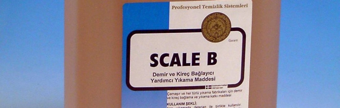 scale b